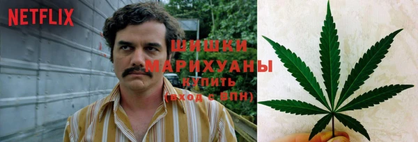 тгк Арсеньев