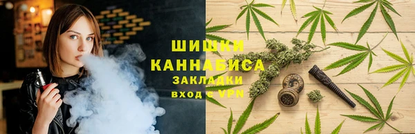тгк Арсеньев